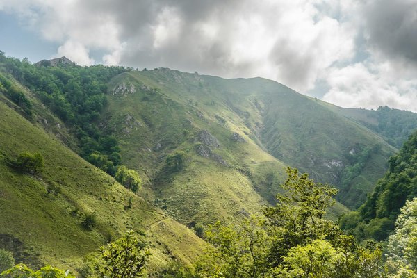 Explorez la magie de la location de péniches à Paris