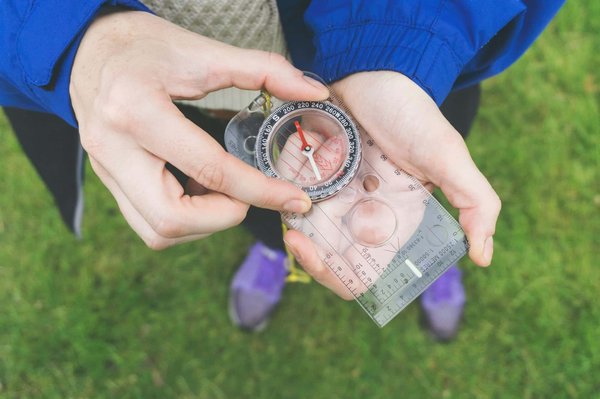 Quelles croisières offrent des excursions pour explorer les récifs coralliens en Australie?